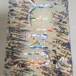 Disney Pendleton NORWEXT Llama beach towels